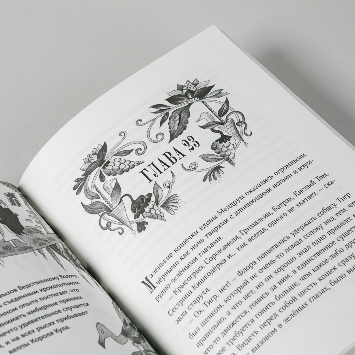 Изумительная Страна Снергов