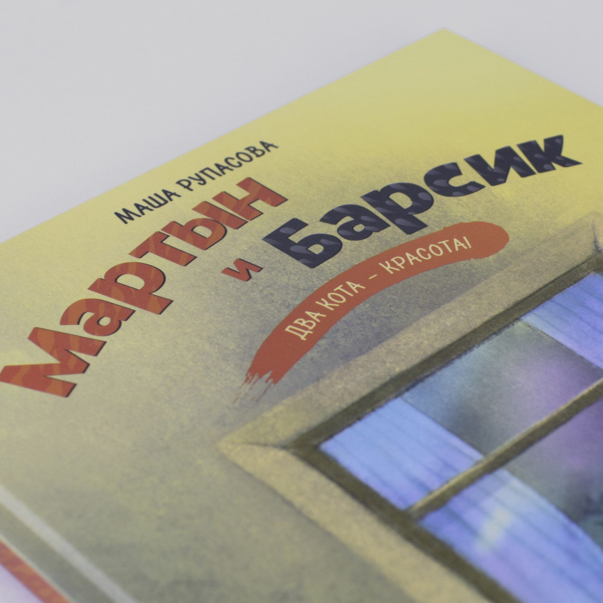 Мартын и Барсик. Два кота — красота!