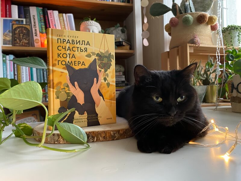 Правила счастья кота Гомера