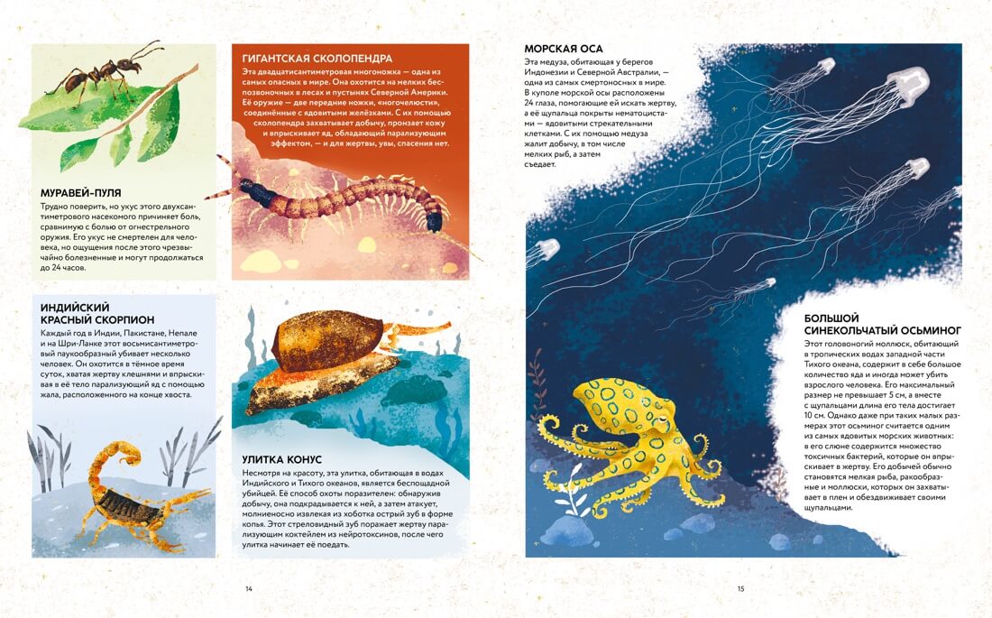 Удивительные животные