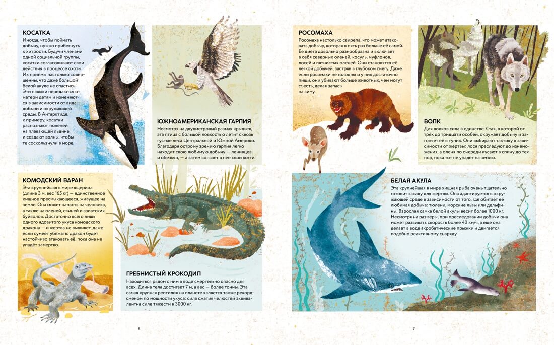 Удивительные животные