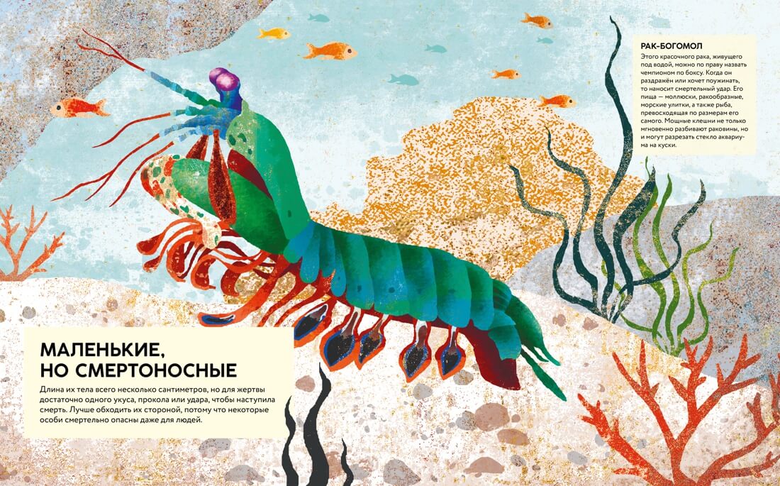 Удивительные животные