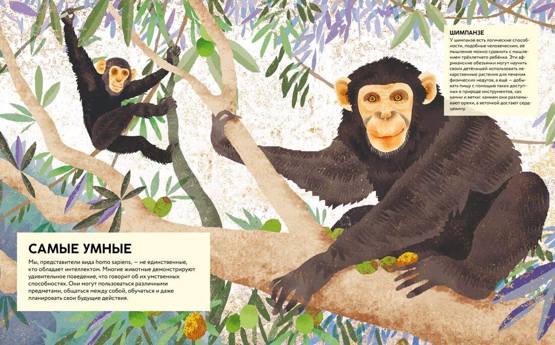 Удивительные животные