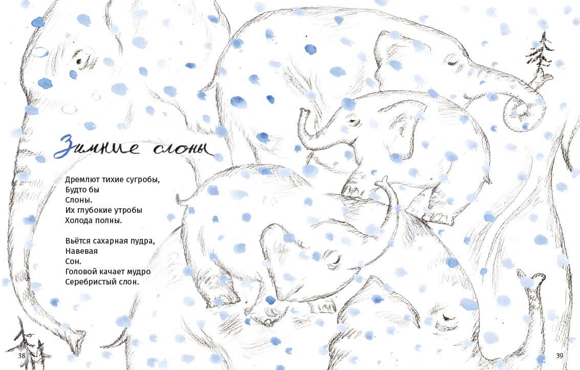 Кисельные берега