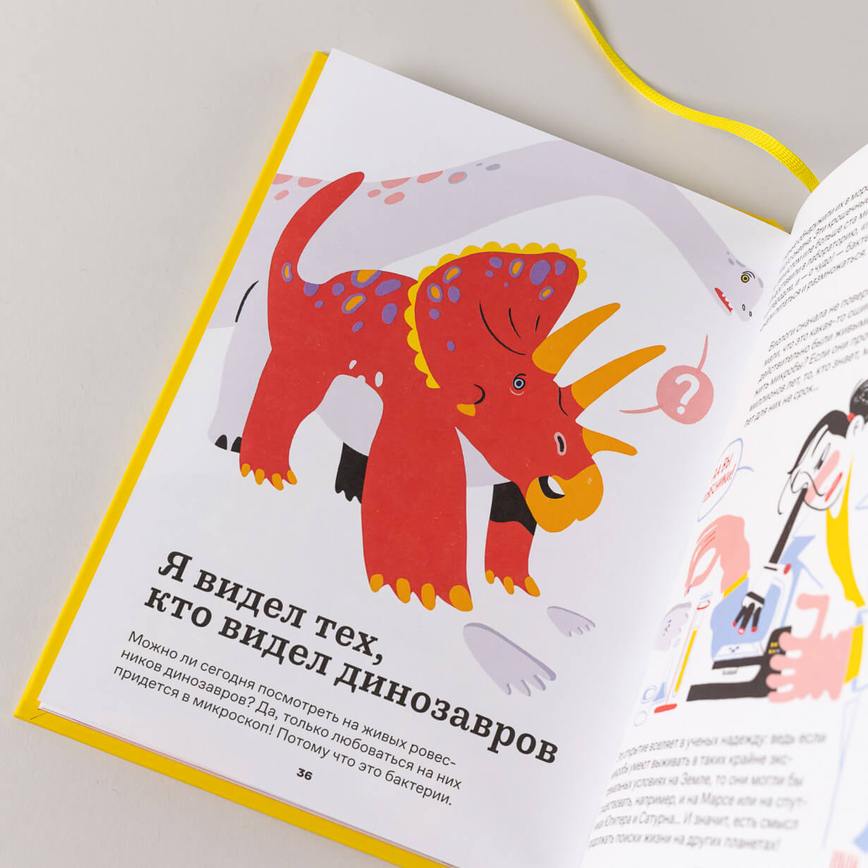 Невероятно! Опасная слизь, ледяные мышки, съедобные камни и ещё 95 историй о мире вокруг нас