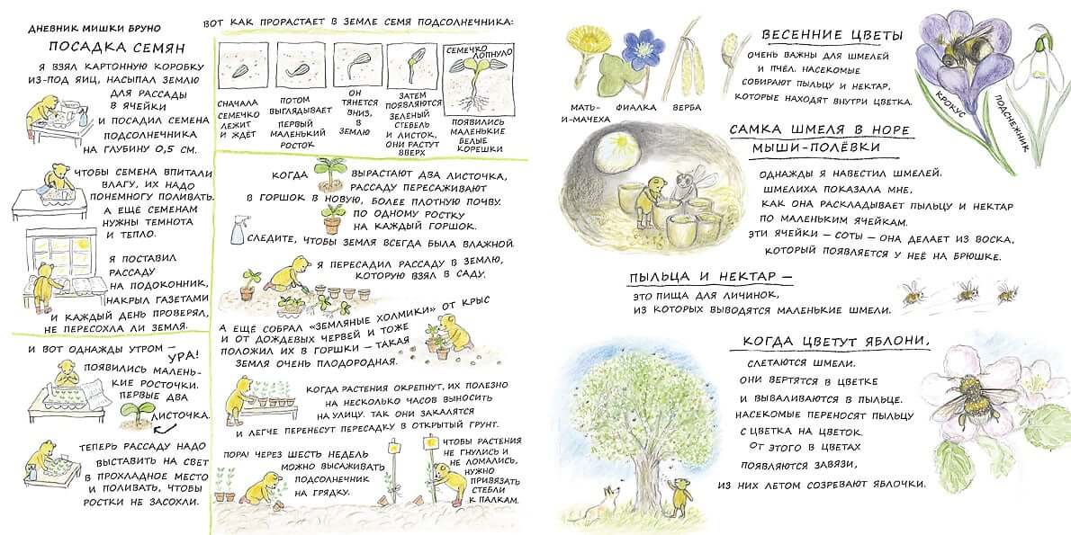 Весна мишки Бруно