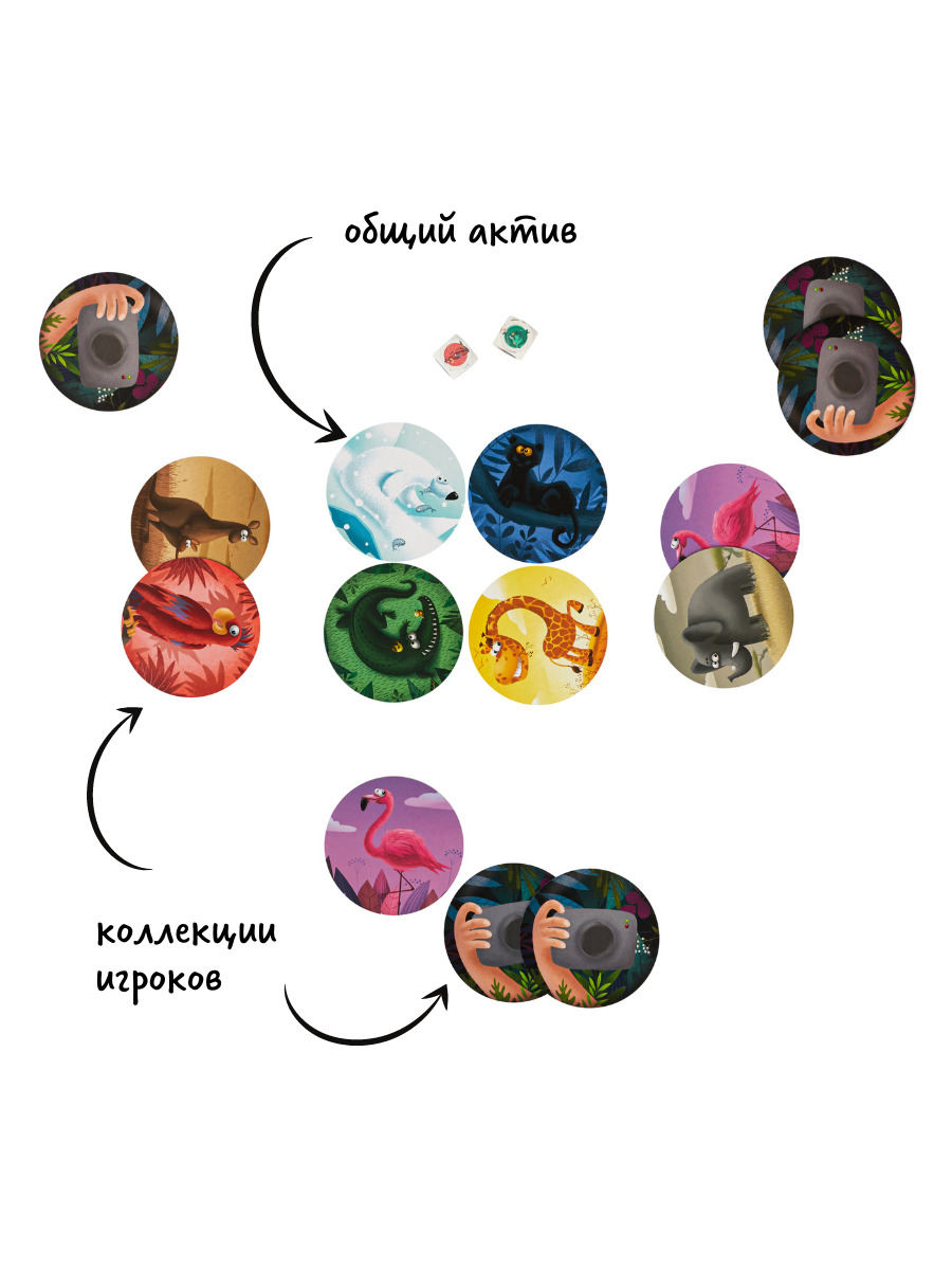 Настольная игра «Ай-Щёлк»