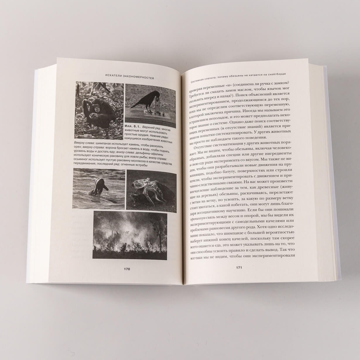 Искатели закономерностей: как аутизм способствует человеческой изобретательности