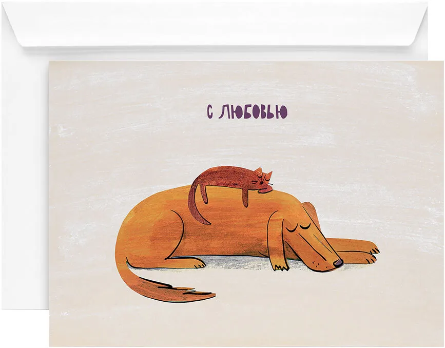 Открытка «Кот и пёс»