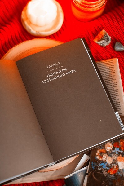 Шумерские мифы. От Всемирного потопа и эпоса о Гильгамеше до бога Энки и птицы Анзуд