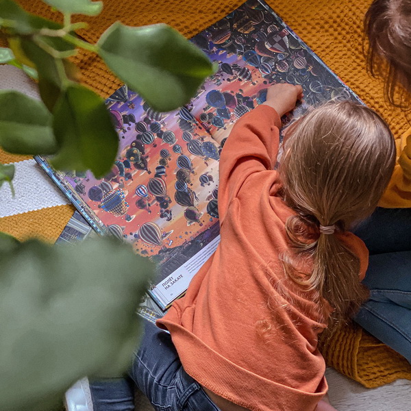 Детектив Пьер распутывает дело. Сокровище Воздушного замка