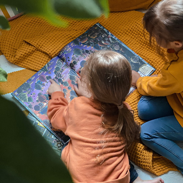 Детектив Пьер распутывает дело. Сокровище Воздушного замка