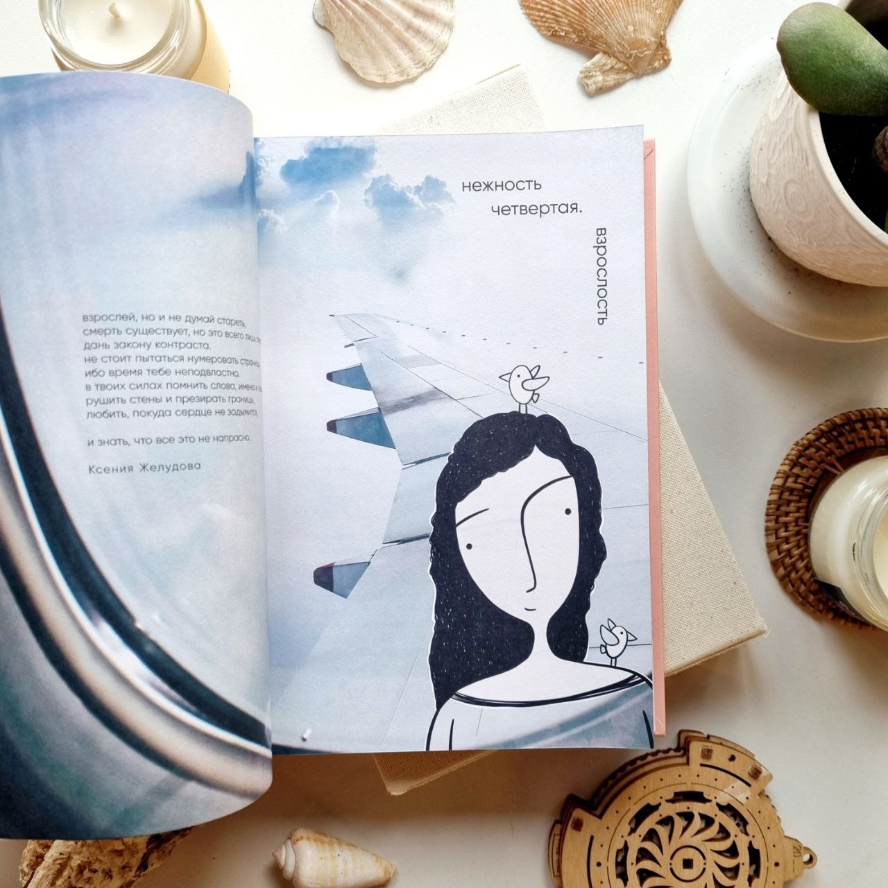 К себе нежно. Подарочное издание