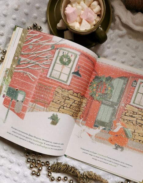 Рыжий кот и Новый год