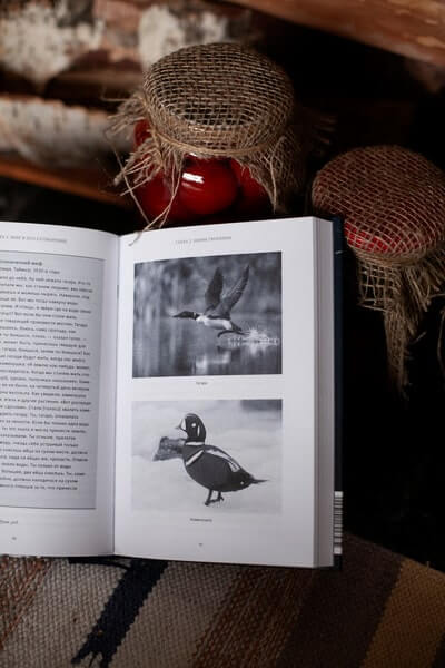 Мифы северных народов России. От творца Нума и ворона Кутха до демонов кулей и злых духов кана