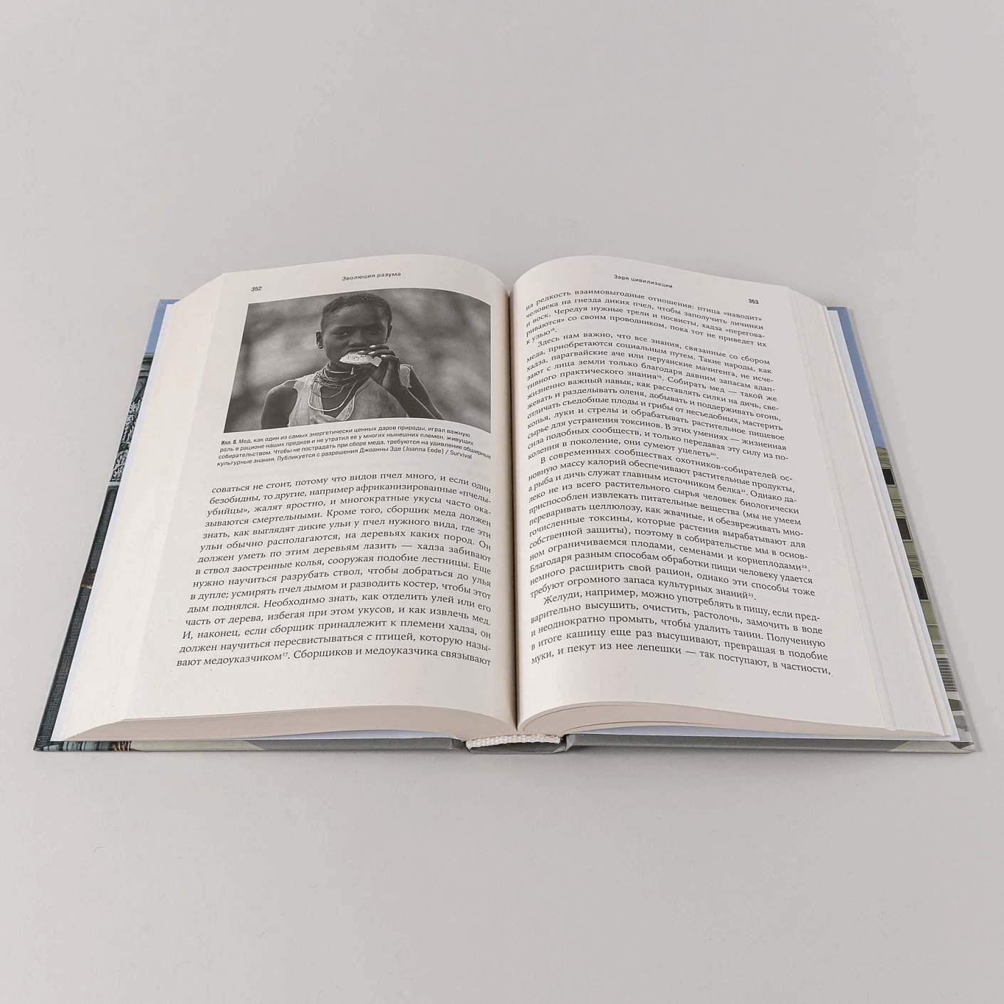 Неоконченная симфония Дарвина. Как культура формировала человеческий разум