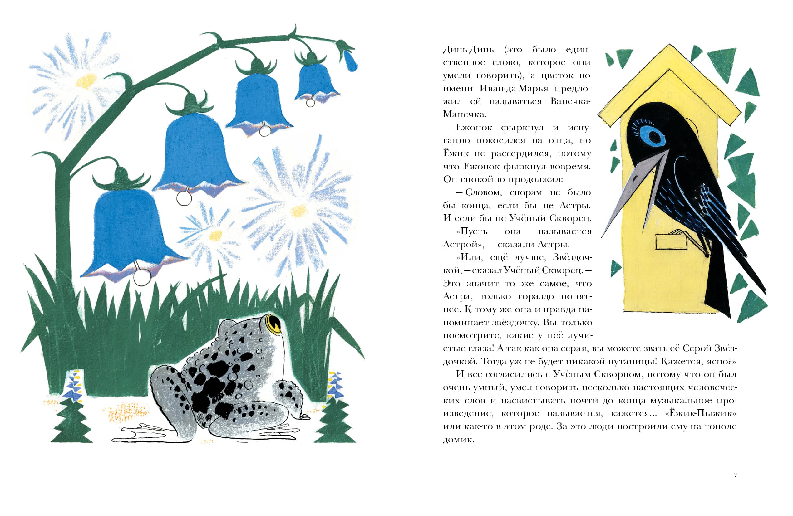 Серая звёздочка