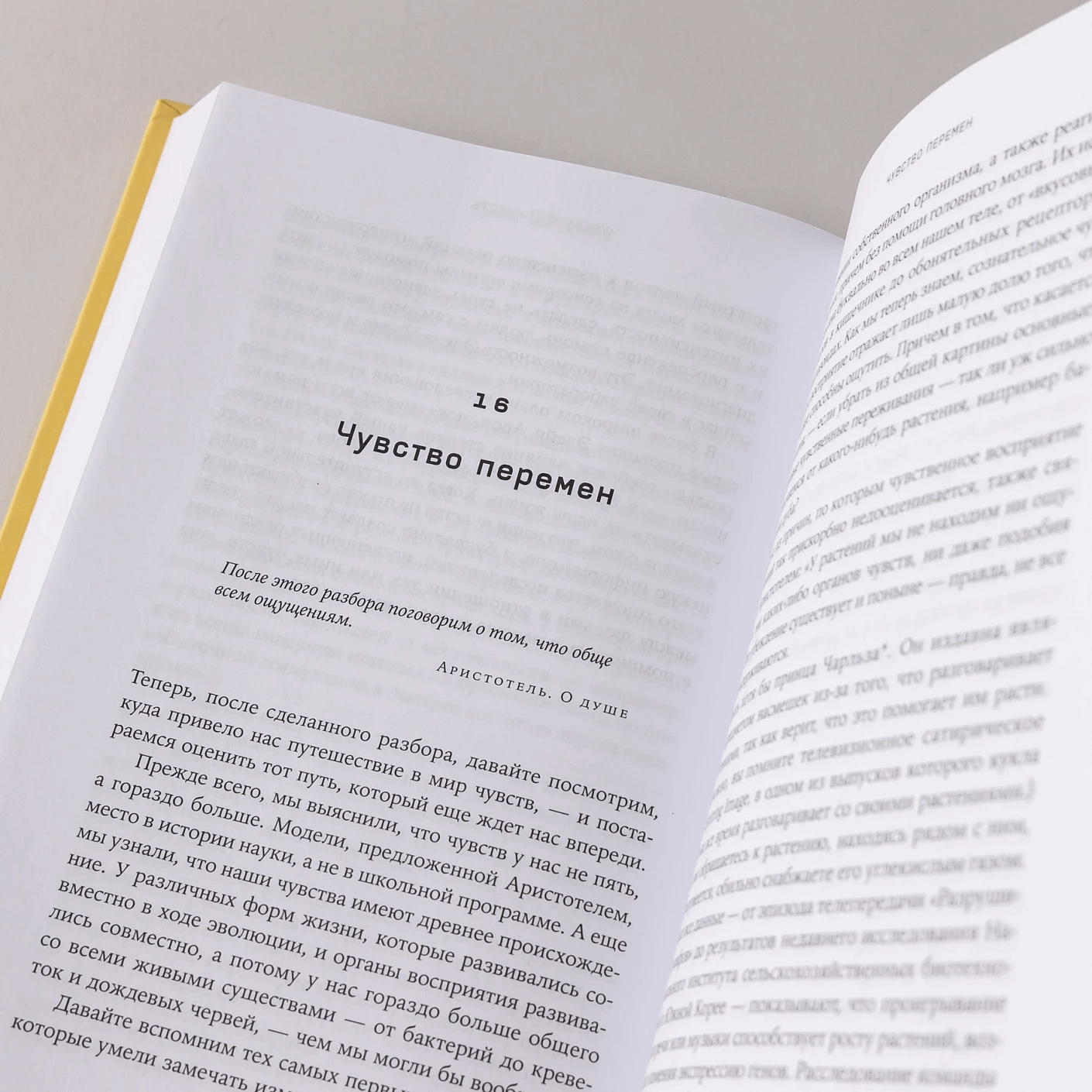 Суперчувства: 32 способа познавать реальность