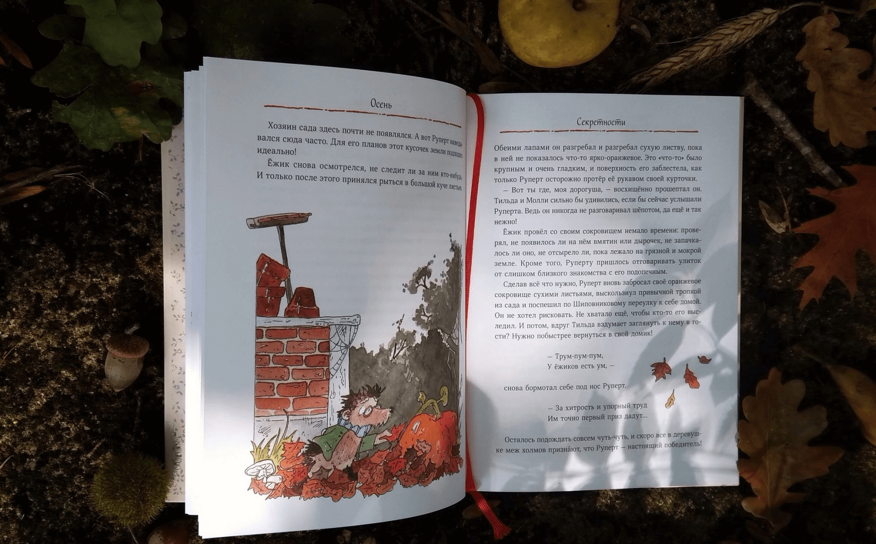 Тильда Яблочное Семечко. Чудесные истории из переулка, где растёт шиповник