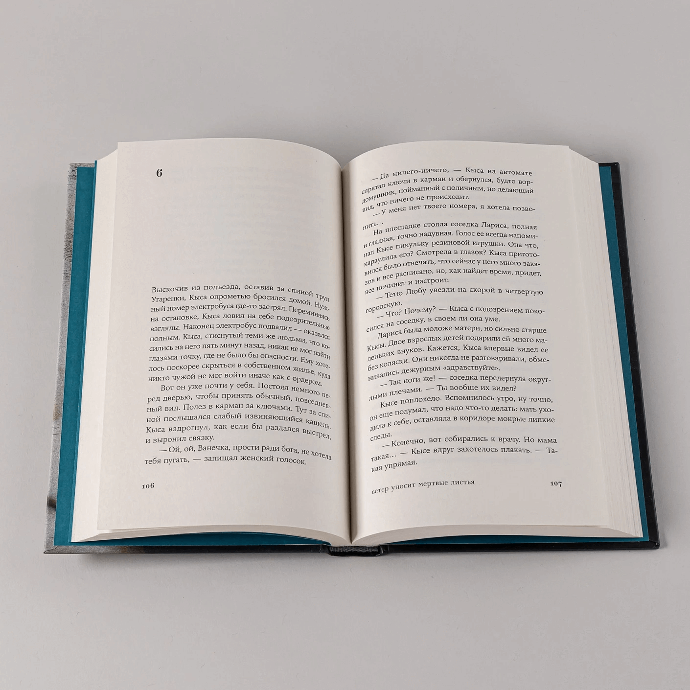 Ветер уносит мертвые листья