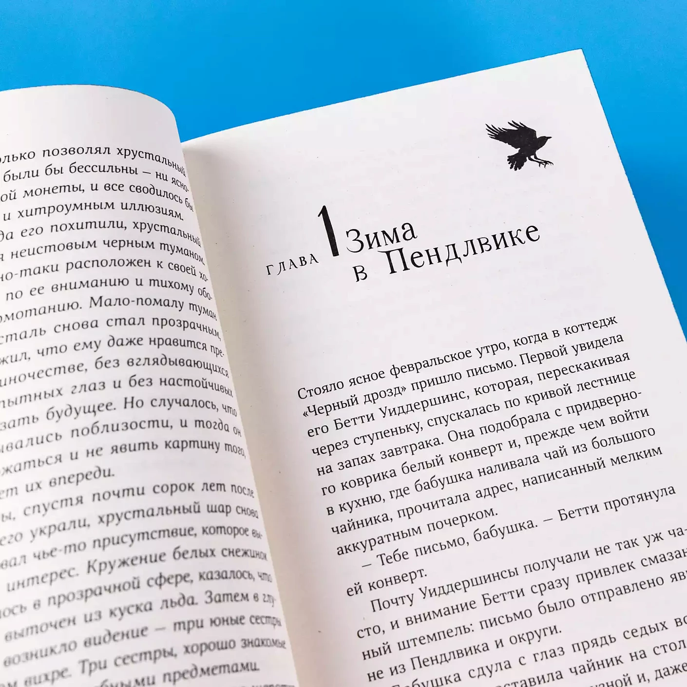 Вихрь колдовства (мягкая обложка)