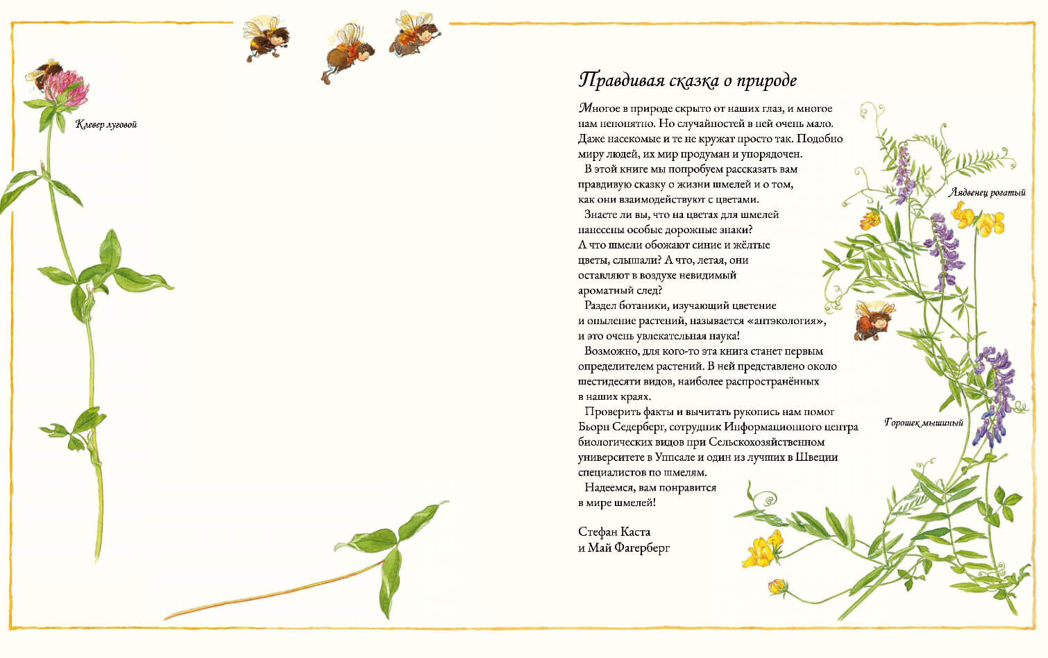 Цветочная книга шмеля