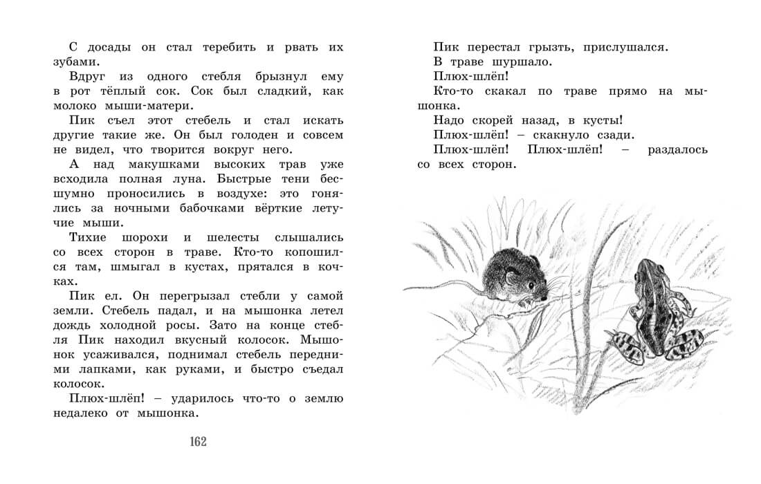 Лесные сказки и рассказы