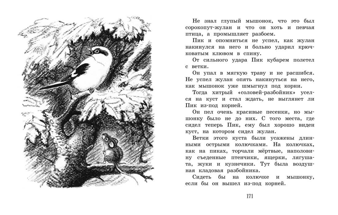 Лесные сказки и рассказы