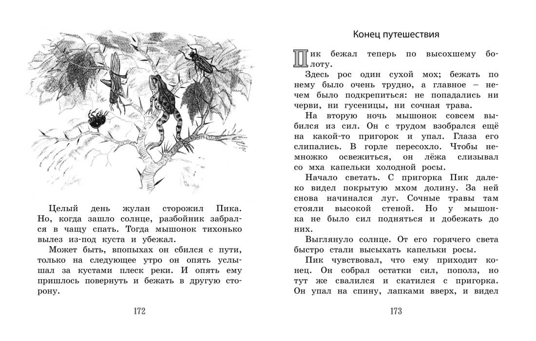 Лесные сказки и рассказы