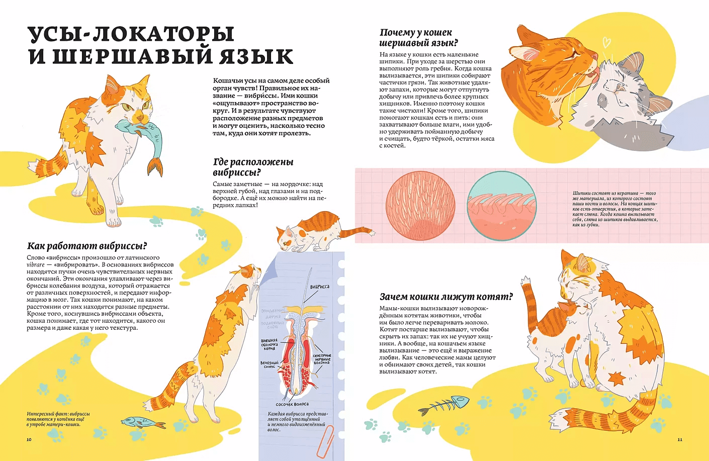 Секреты кошек. Как понять свою кошку и подружиться с ней