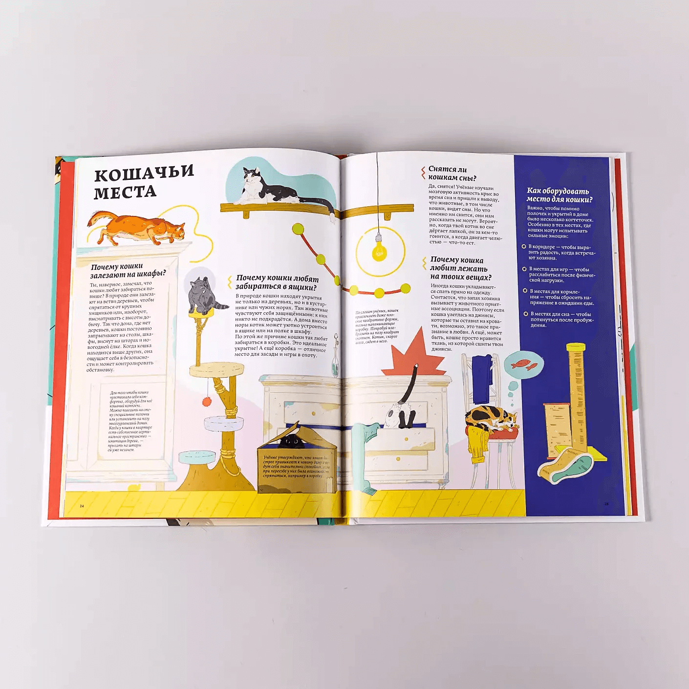 Секреты кошек. Как понять свою кошку и подружиться с ней