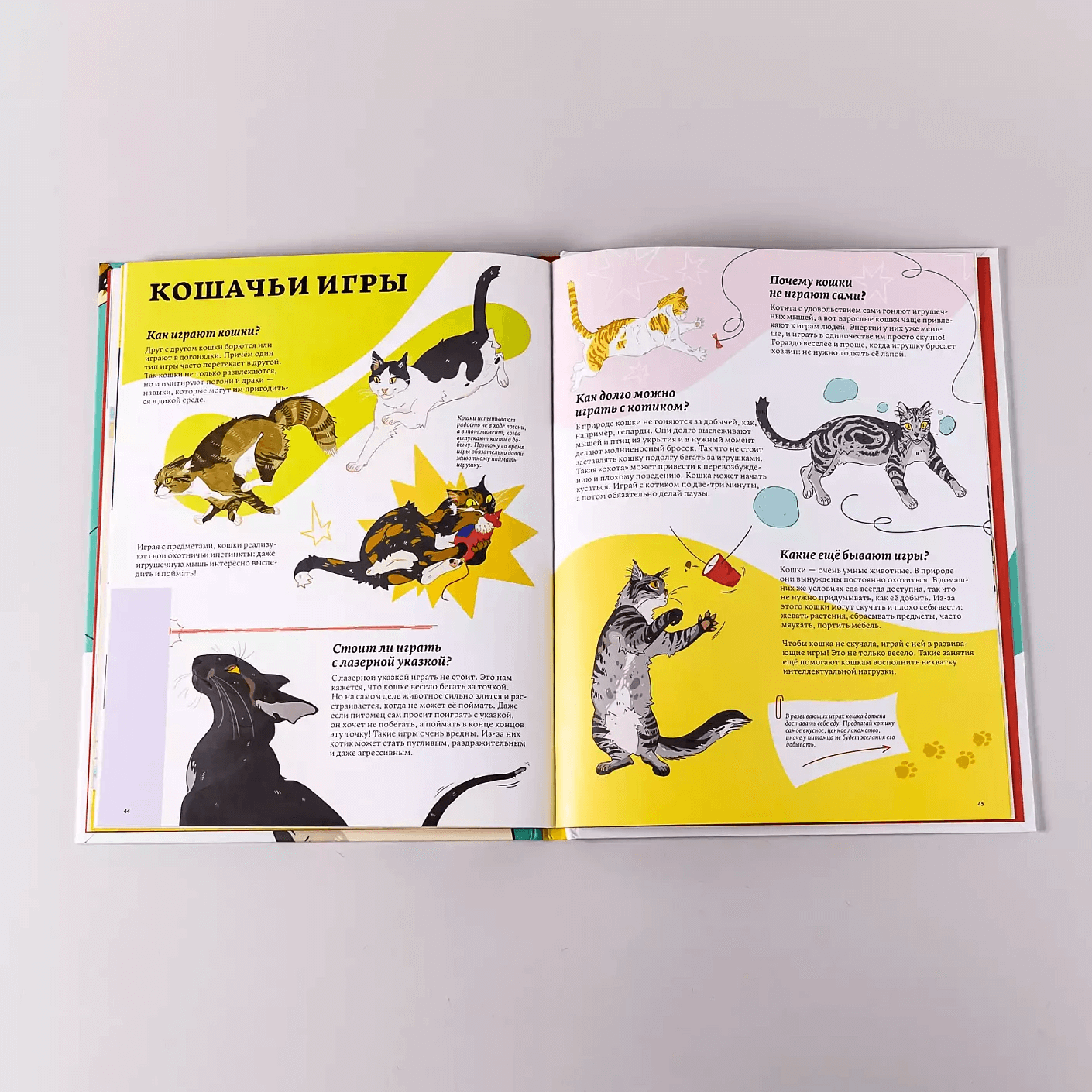 Секреты кошек. Как понять свою кошку и подружиться с ней