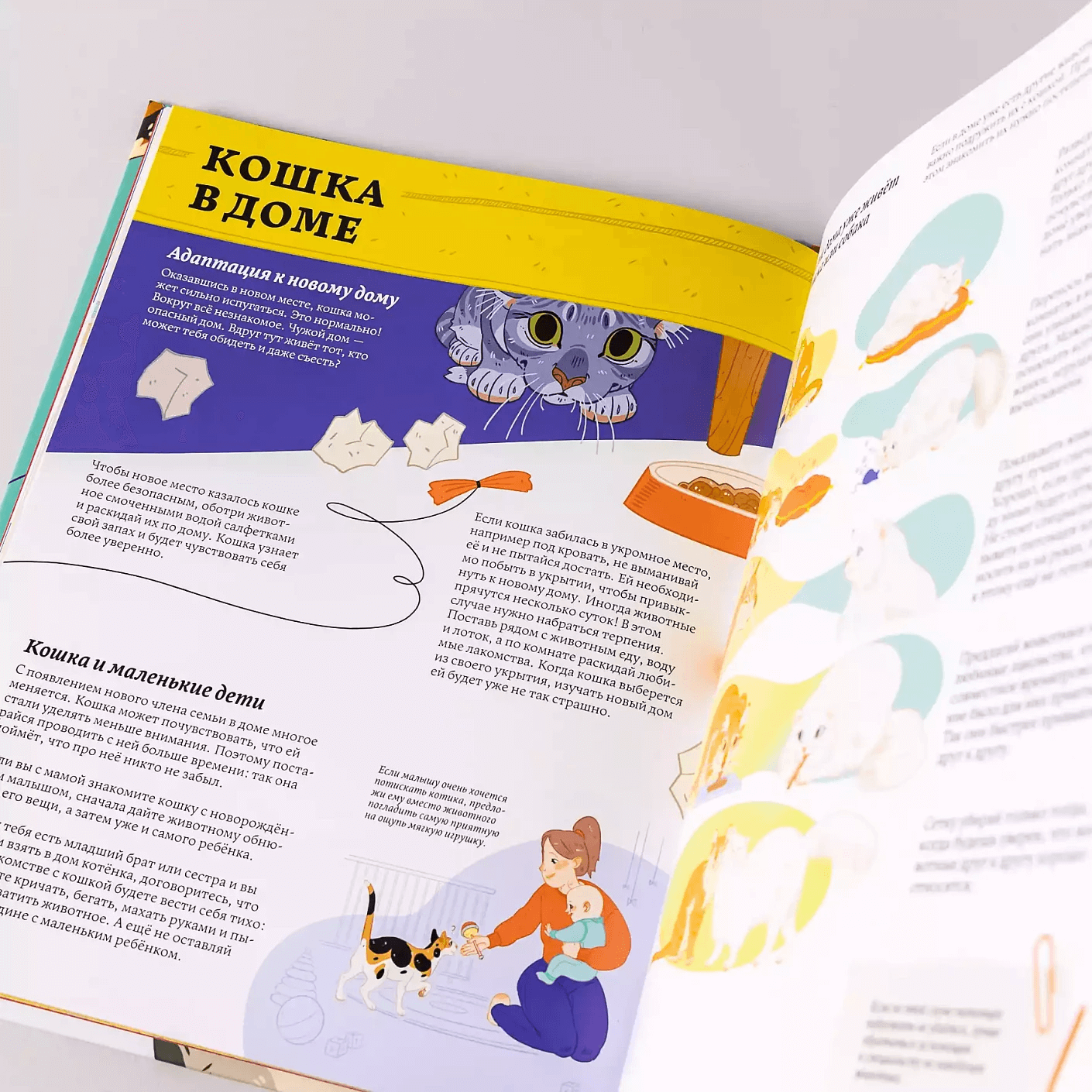 Секреты кошек. Как понять свою кошку и подружиться с ней