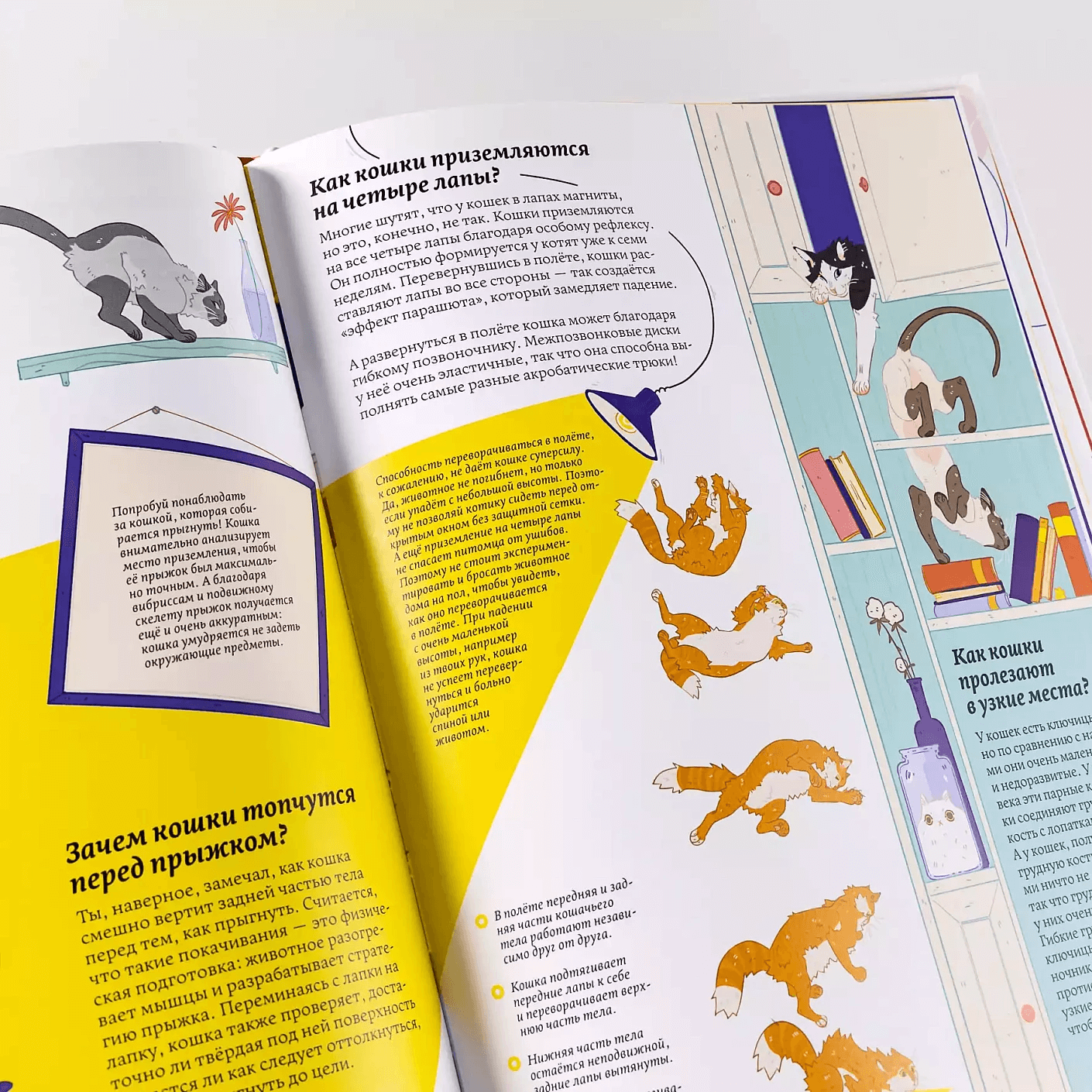 Секреты кошек. Как понять свою кошку и подружиться с ней