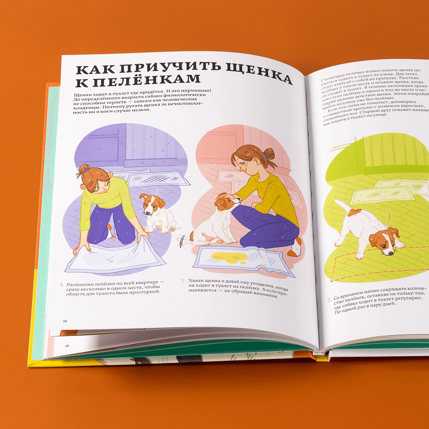 Секреты собак. Как понять собаку и стать ей другом