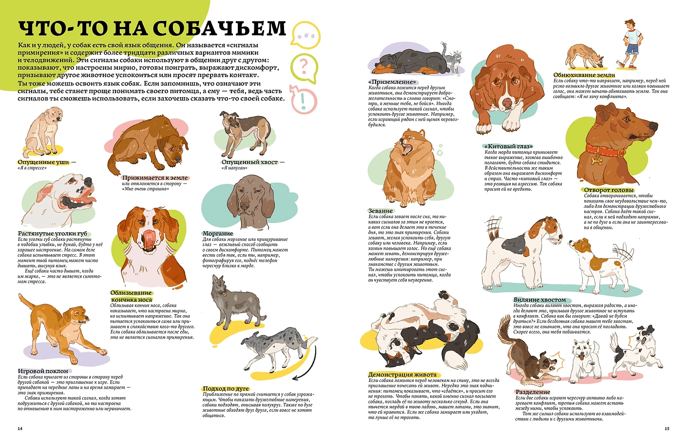 Секреты собак. Как понять собаку и стать ей другом