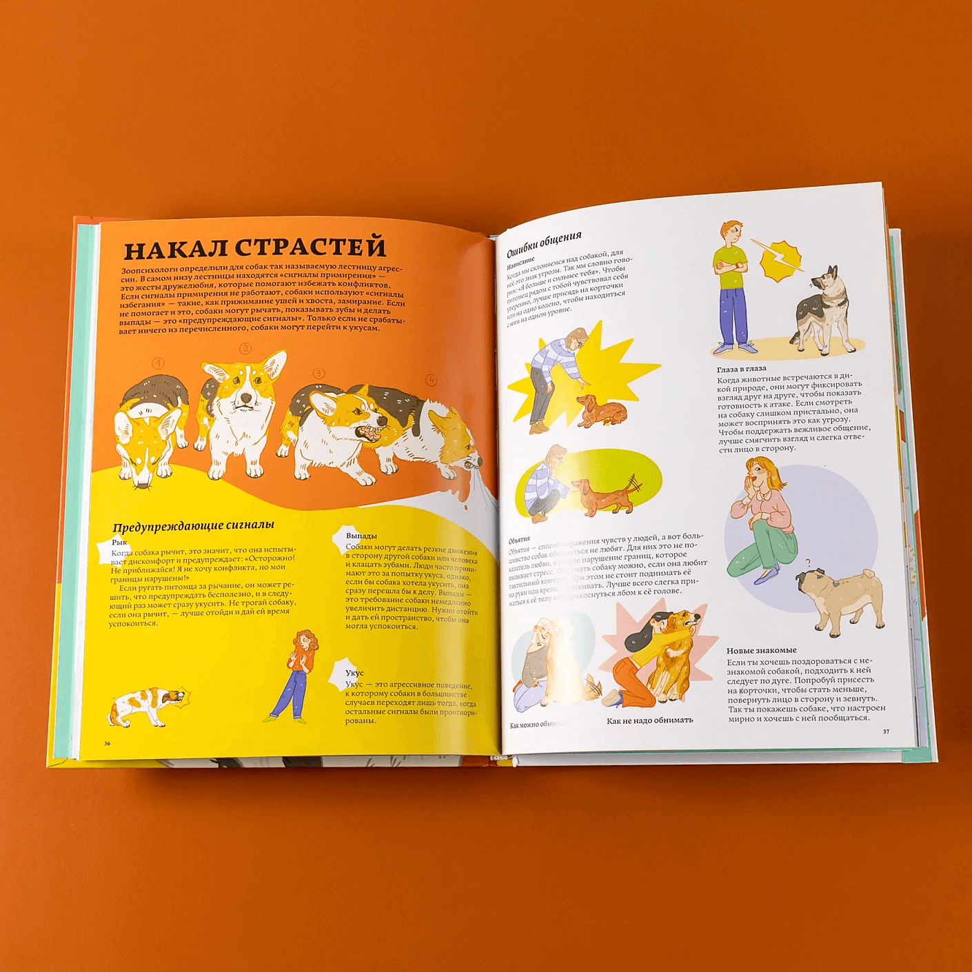 Секреты собак. Как понять собаку и стать ей другом