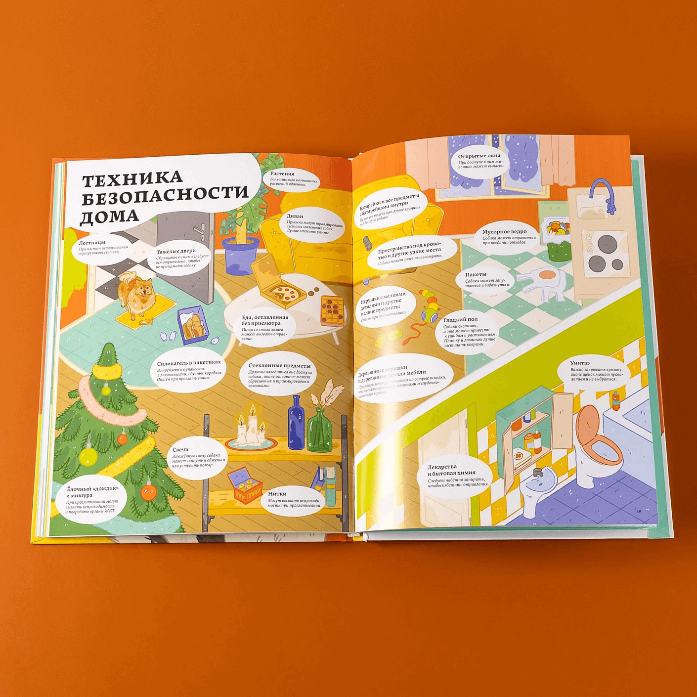 Секреты собак. Как понять собаку и стать ей другом