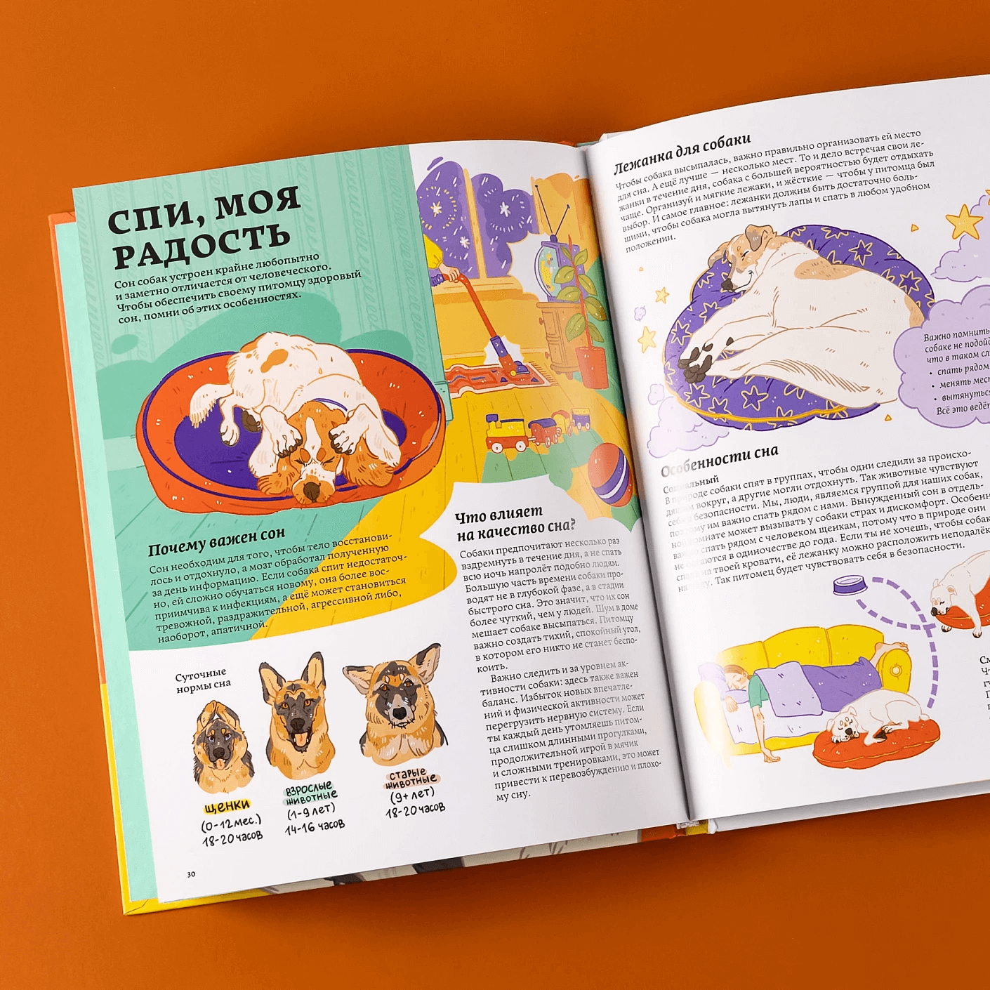 Секреты собак. Как понять собаку и стать ей другом