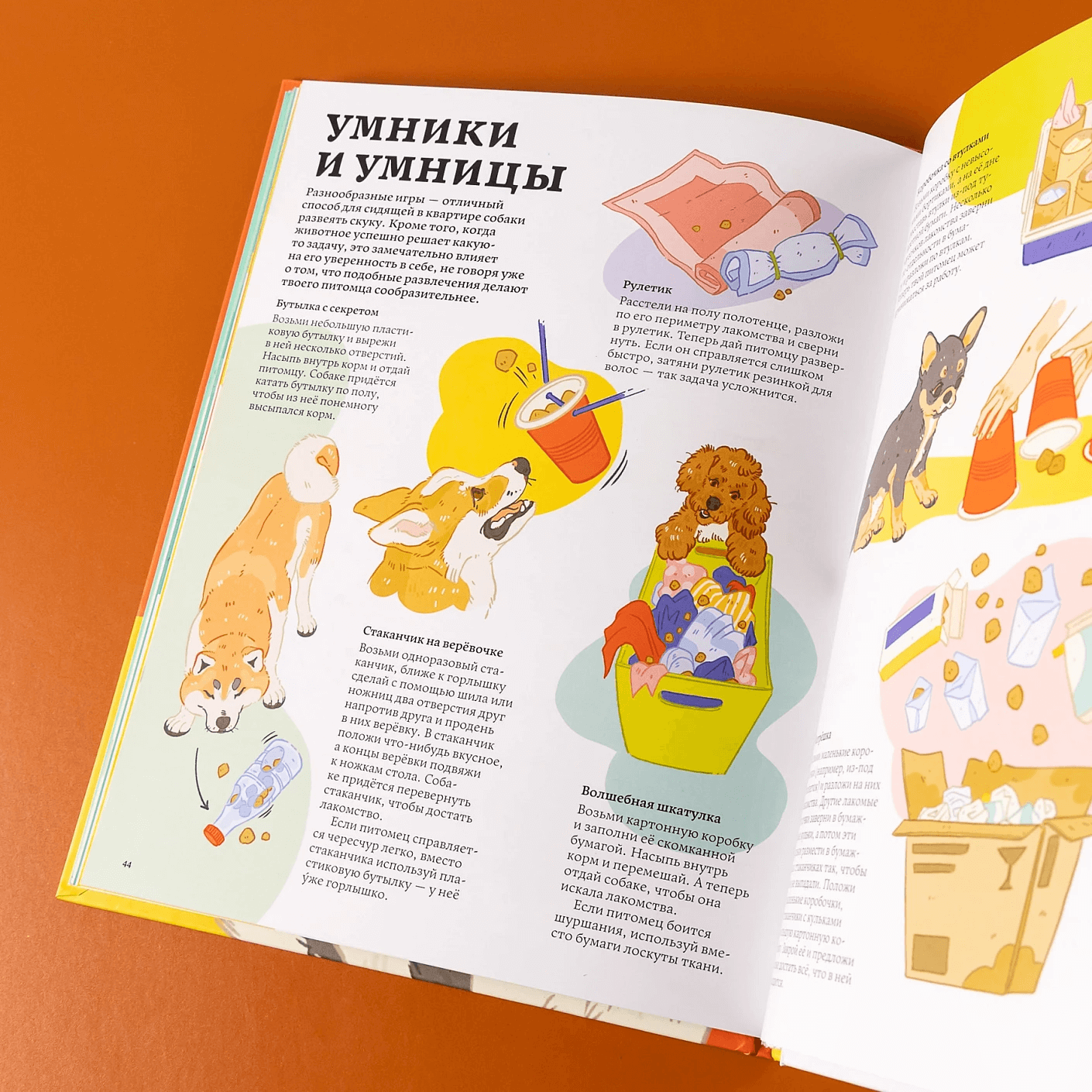 Секреты собак. Как понять собаку и стать ей другом