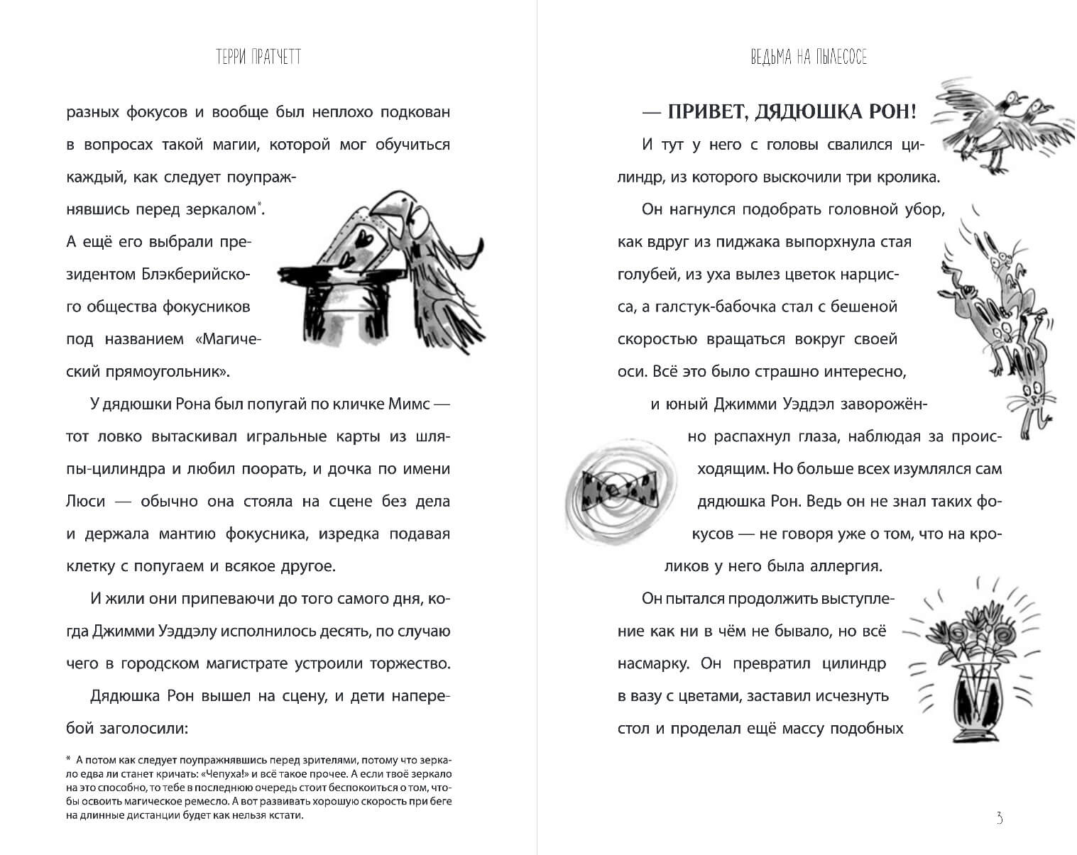 Ведьма на пылесосе