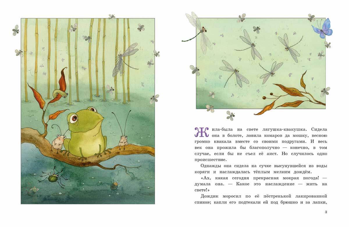 Лягушка-путешественница