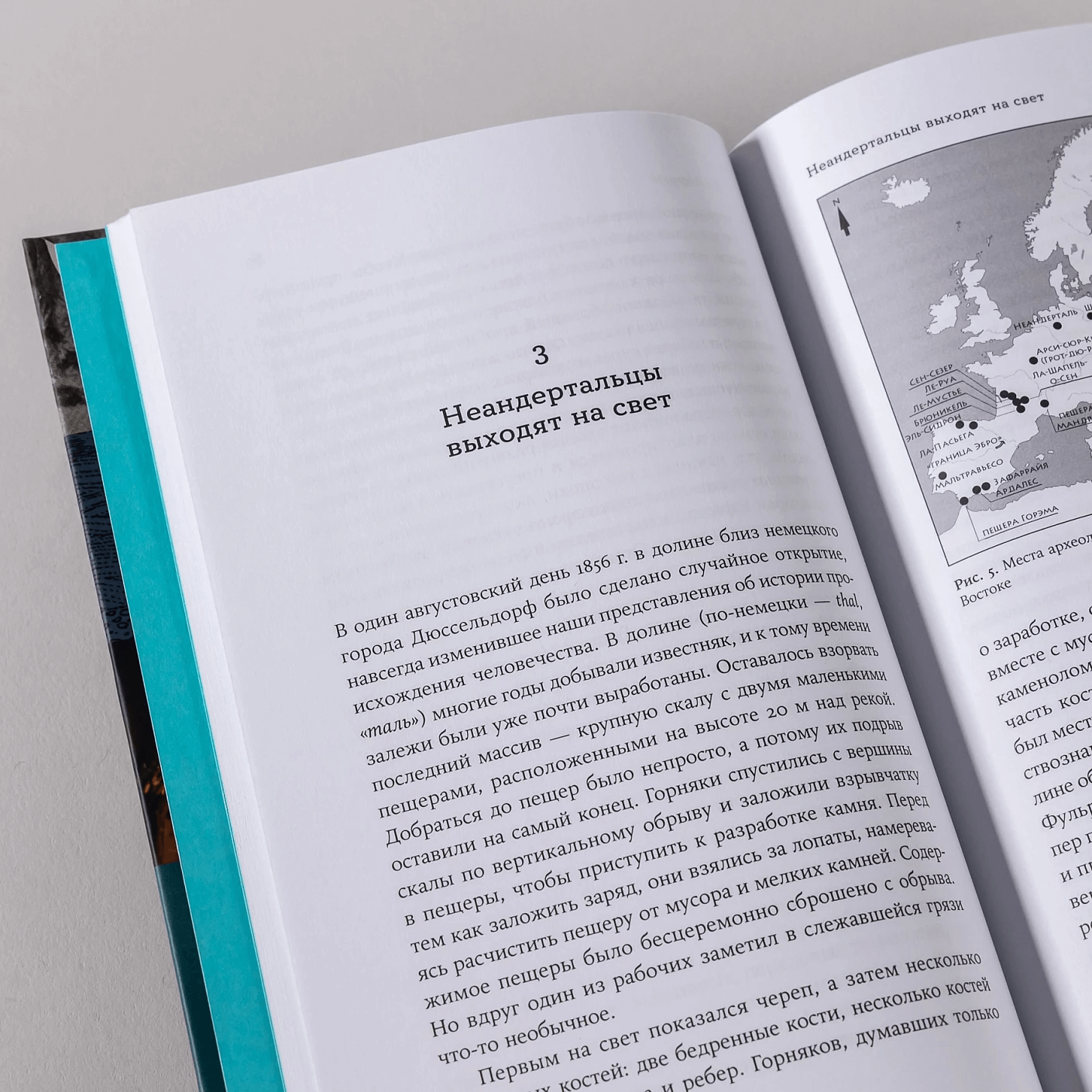 Мир до нас: новый взгляд на происхождение человека