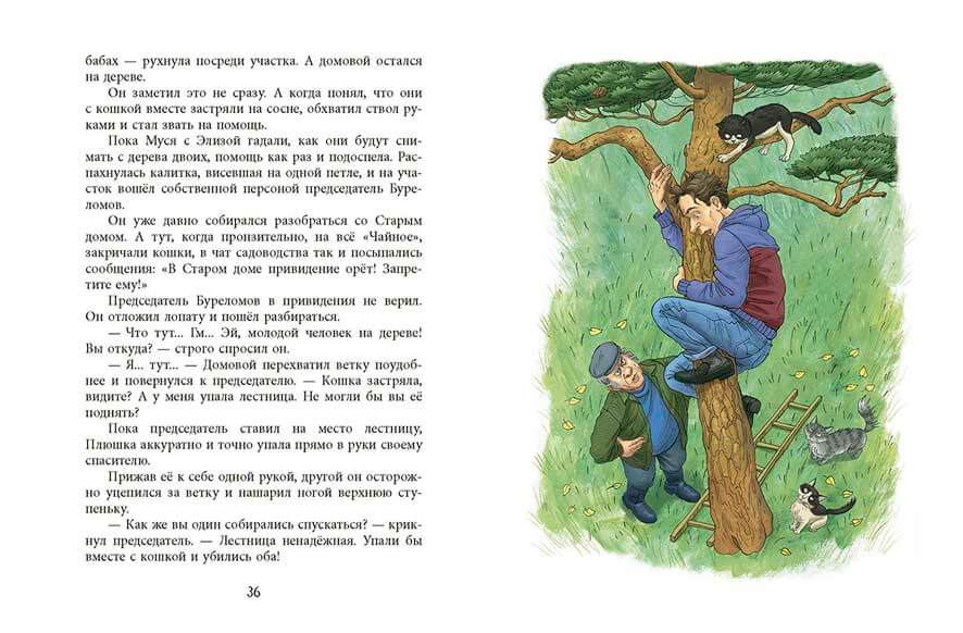 У кошек всегда каникулы