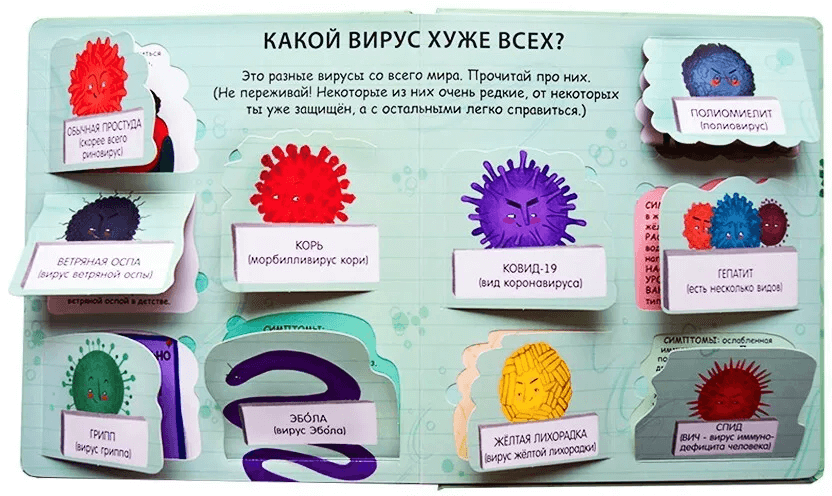 40 окошек. Что делать, чтобы быть здоровым