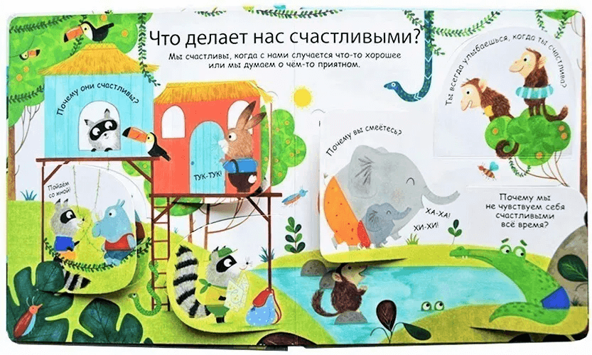 40 окошек. Что такое эмоции и чувства