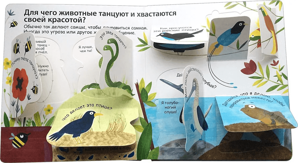 40 окошек. Как говорят животные