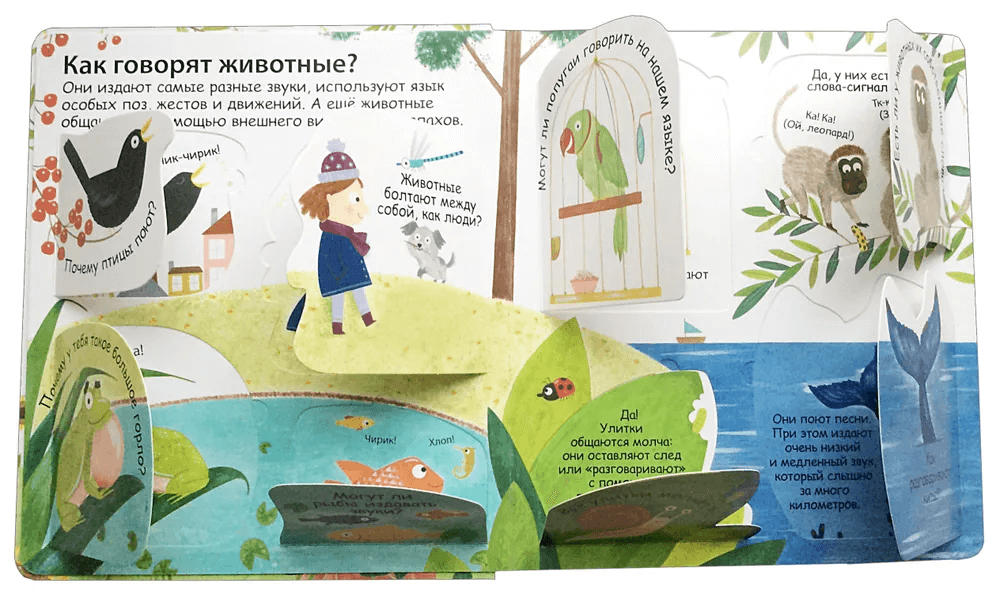 40 окошек. Как говорят животные