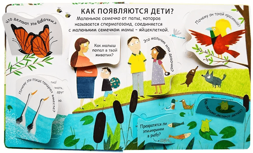 40 окошек. Откуда берутся дети