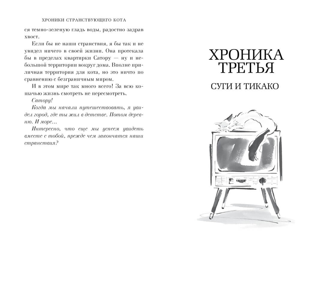 Хроники странствующего кота
